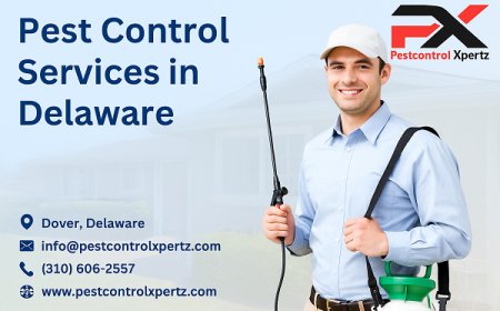 Reliable Pest Control in Glasgow for Homes and Businesses