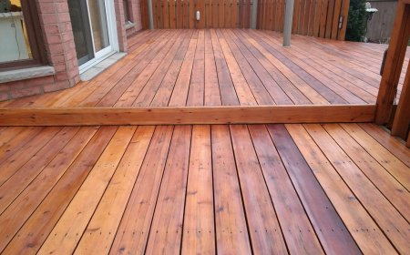 10 Power-Packed Reasons to Use Deck Sealer: Can I Sand Wet Wood?