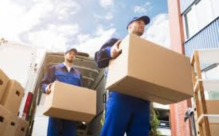 Moving Made Easy: Reliable Residential and Office Movers in Colorado