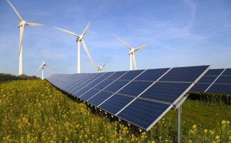 Solar Panels vs. a Wind Turbine: A Renewable Energy Showdown