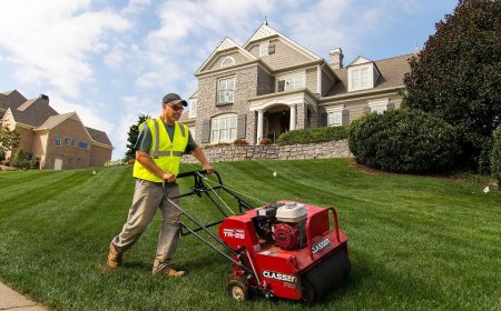 Professional Lawn Boosting Services for a Lush Backyard