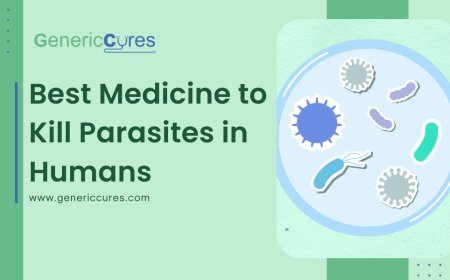 Best Medicine to Kill Parasites in Humans