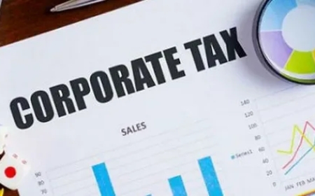 Who Are the Best Corporate Tax Consultants in UAE?