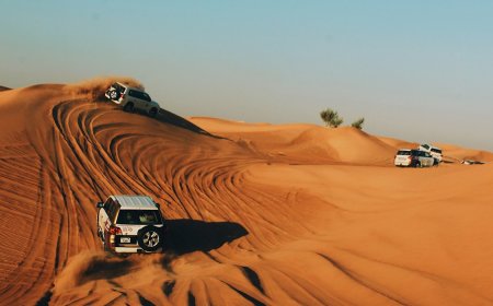 Planning Your Evening Desert Safari? Check These Timings First