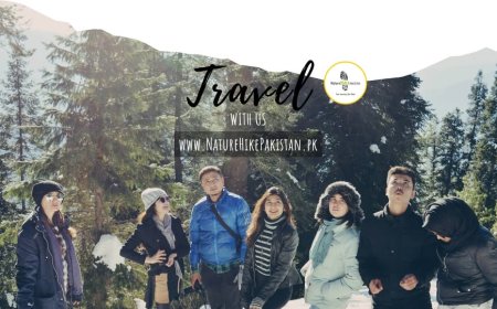 Embark on Unforgettable Journeys with NatureHikePakistan.pk’s Premier Tour Packages
