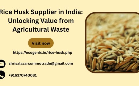 Rice Husk Supplier in India: Unlocking Value from Agricultural Waste