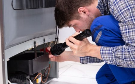 Avoid Food Waste: The Critical Role of Same-Day Refrigerator Repair in Hamilton