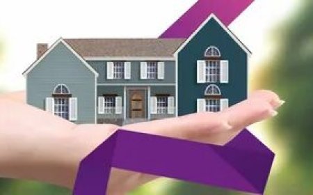 Understanding Your Rights: A Tenant's Guide to Housing Disrepair in the UK