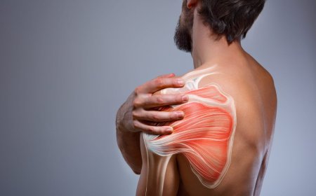 Shoulder Pain Treatment Dubai: What Causes the Pain and How to Fix It