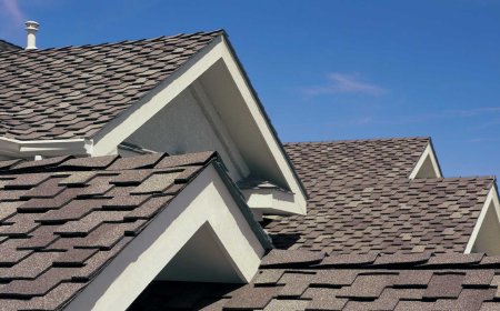 Transforming Homes with No Limit Roofing & Restoration in Denver, Lakewood, and Aurora - Colorado
