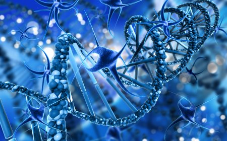 Understanding Mycoplasma pneumoniae: A Hidden Threat in Respiratory Infections