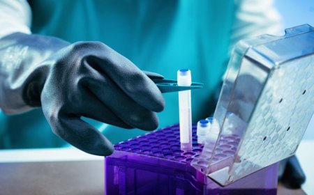 Unveiling the Potential of Cell Cryopreservation: Techniques, Applications, and Future Prospects