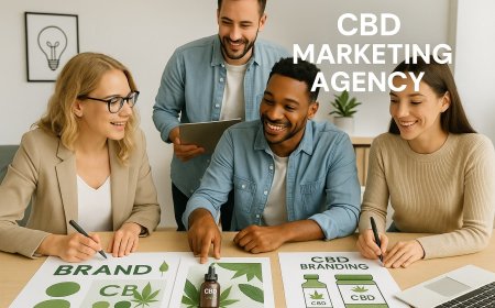 How CBD Marketing Companies Support Business Growth in a Regulated Industry