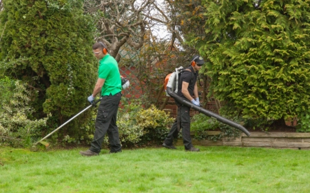 Why Busy Bronx Homeowners Trust Local Yard Cleaning Services for Fast, Reliable Results
