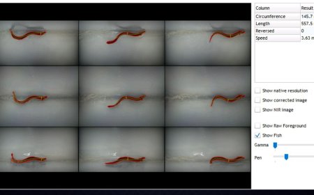 Is Your Fish Monitoring System Keeping Up with Modern Demands?