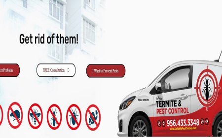 Drywood Termites: Silent Destroyers Lurking in Your Walls and Furniture