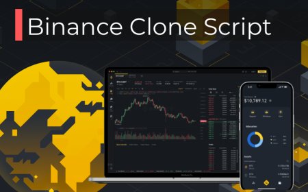 Top 10 Reasons Entrepreneurs Are Choosing Binance Clone Software
