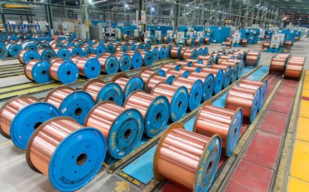 Market Leaders in Electrical Products and Industry Transformations Worldwide: An Insight into Polycab India Ltd