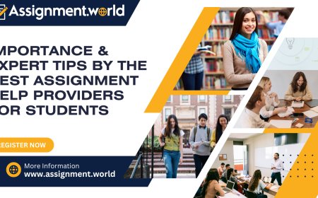 Importance & Expert Tips by the Best Assignment Help Providers for Students