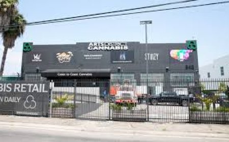 Exploring the Dispensary Arts District: Where Cannabis Meets Creativity