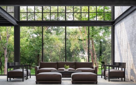 Building Tomorrow, Today: The Rise of Dynamic Modular Homes in Urban Living