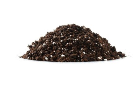 Potting Soil Market Size, Trends, and Growth Forecast 2025-2032