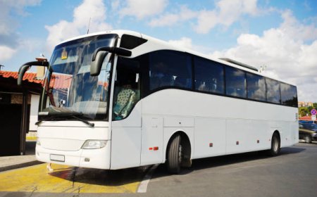 How Much Does It Really Cost to Rent a Party Bus?