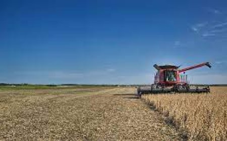 Agricultural Fuel Oil: Powering the Heart of Modern Farming