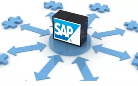 Top Reasons to Avail SAP Implementation and Services Providers