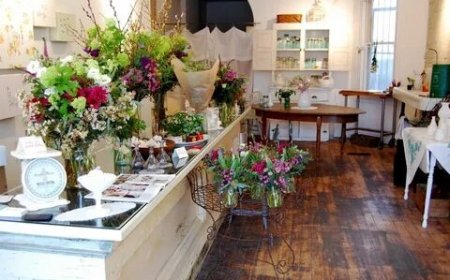 Monthly Guide to Seasonal Flowers Toronto Grows