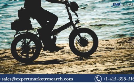 E-Bike Market Trends, Size & Forecast Insights 2025-2034