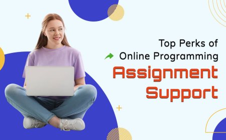 Top Benefits of Getting Online Programming Assignment Help