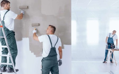 Eco-Friendly Home Renovation Ideas for Toronto Homes