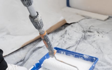 Professional Painters for Complete Home Renovation Projects