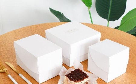 Improve Cake Presentation through Customized Cake Slice Boxes