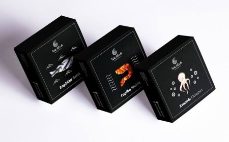 Premium Custom Shrimp Boxes With Secure And Stylish Packaging For Your Seafood