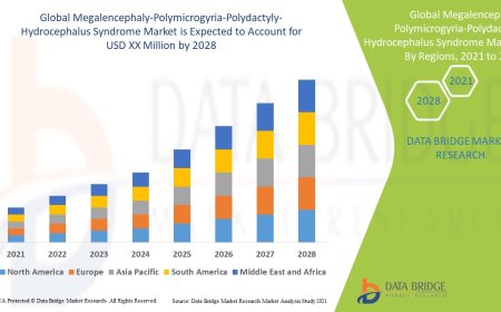 Megalencephaly-Polymicrogyria-Polydactyly-Hydrocephalus Syndrome Market Trends: Growth, Share, Value, Size, and Analysis By 2032