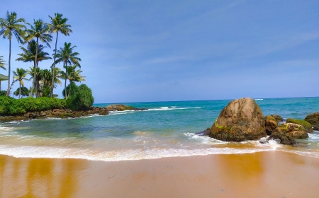 Sri Lanka Honeymoon Tips: Best Time to Visit for Couples