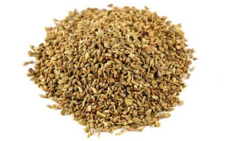 Exploring the Journey of Spices: From Fields to Global Markets