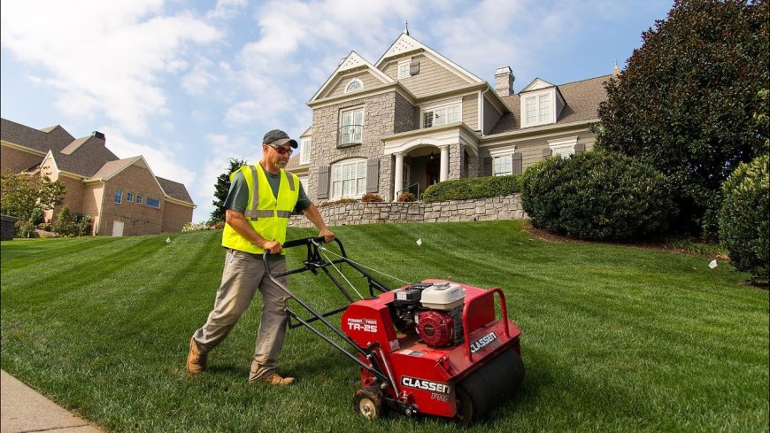 Professional Lawn Boosting Services for a Lush Backyard
