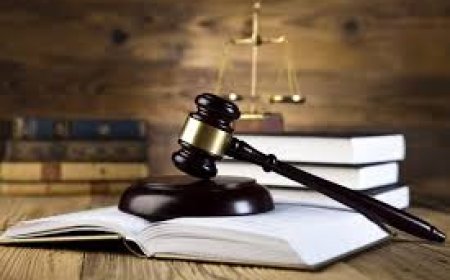 Whether it's commercial law, corporate governance, labor disputes, or administrative appeals