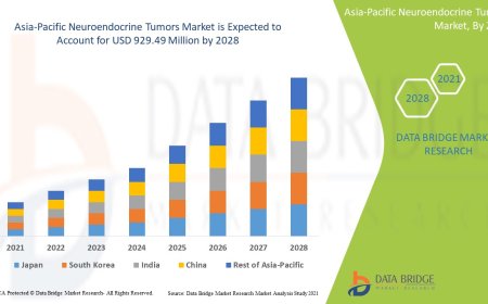 Rising Cancer Incidence Drives Growth in Asia-Pacific Neuroendocrine Tumors Market