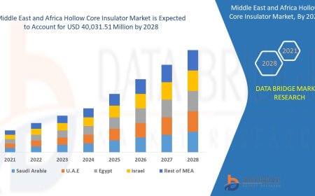 Middle East and Africa Hollow Core Insulator Market Grows with Expanding Power Infrastructure