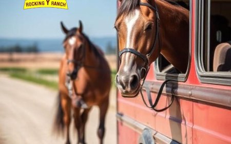 Reliable Nationwide Horse Transportation with Rocking Y Ranch