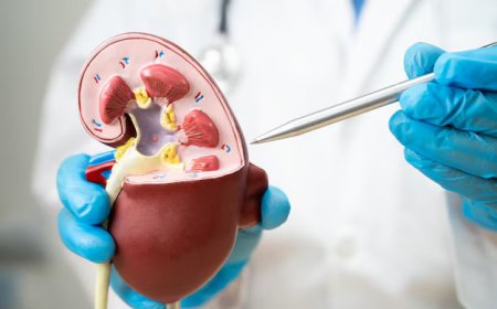 Top 7 Signs You Should See a Urologist in Jaipur