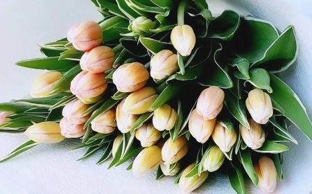 Impress Instantly with Same Day Flower Delivery Magic!