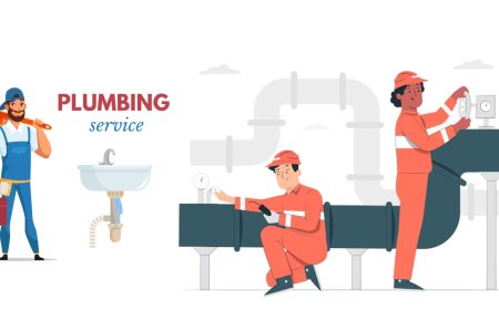 Trusted Plumbing Solutions in Arizona: A Complete Guide to Phoenix Plumbing Services