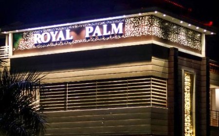 Make Your Stay Unforgettable at the Best Hotel in Dehradun – Hotel Royal Palm