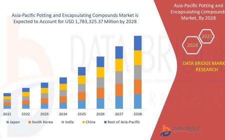 Asia-Pacific Potting and Encapsulating Compounds Market Surges with Growth in Electronics Industry
