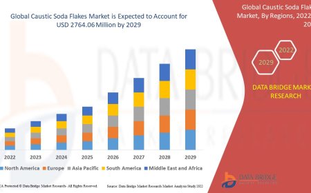 Caustic Soda Flakes Market Expands Due to Increasing Industrial Applications